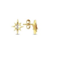 14 K Gold Zircon stone Earring 0,87 gr 