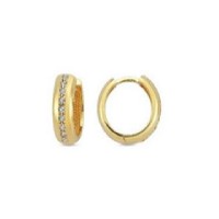 14 K Gold Zircon stone Earring 2,95 gr 
