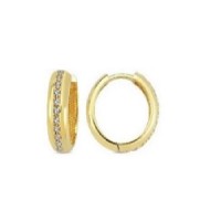 14 K Gold Zircon stone Earring 3,48 gr 