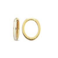 14 K Gold Zircon stone Earring 1,53 gr 