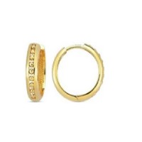 14 K Gold Zircon stone Earring 2,73 gr 