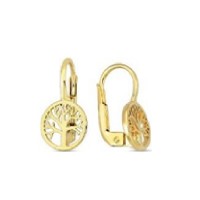 14 K Gold Zircon stone Earring 1,98 gr 