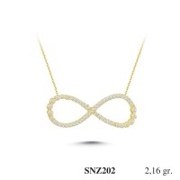 Silver    necklace    with    pendant                                     SNZ202-925K