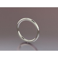  Silver 2mm Memory Ring with stone NS1003