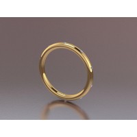  Silver 2mm Memory Ring with stone NS1003